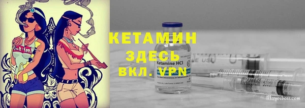 ALPHA PVP Остров