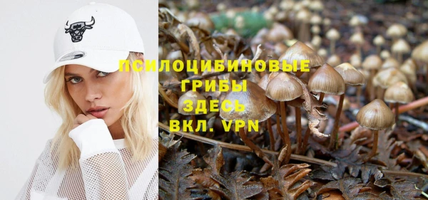 герыч Елабуга