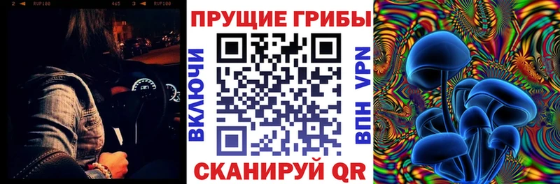 Псилоцибиновые грибы Cubensis  продажа наркотиков  Свирск 